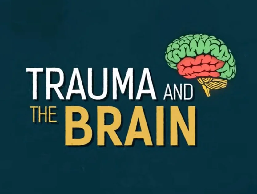 sexual abuse support videos what is trauma